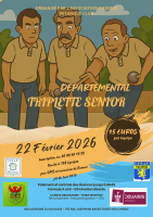 X3 Départemental - Phœnix Pétanque